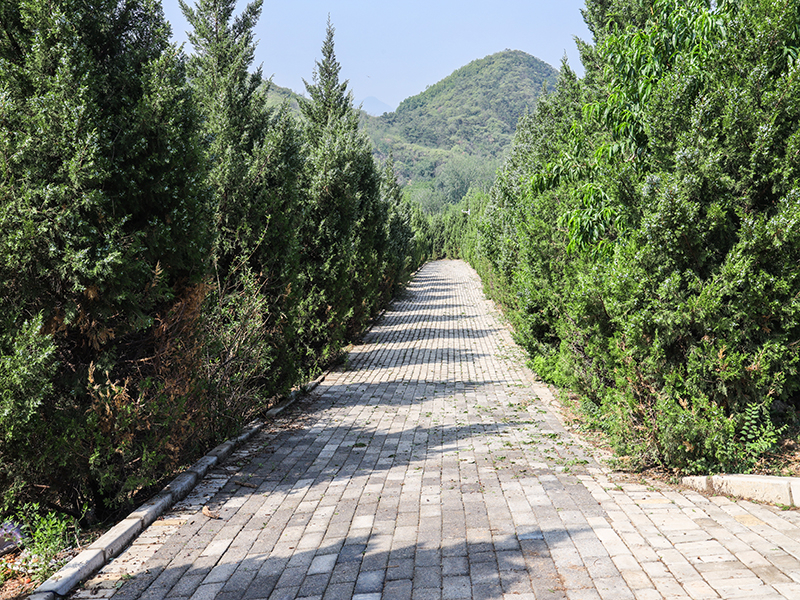 归山陵园有多少墓穴出售（归山陵园价格）