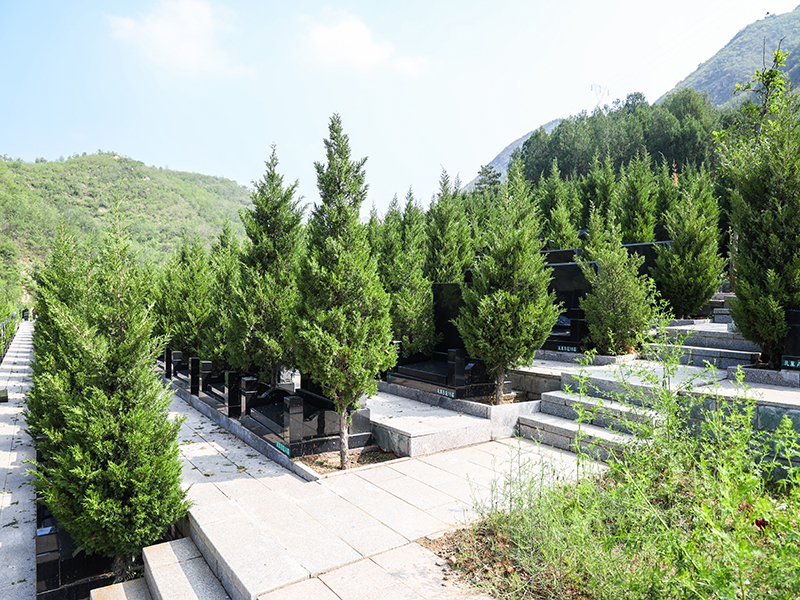 归山陵园墓地价格多少（归山陵园的墓穴多吗）