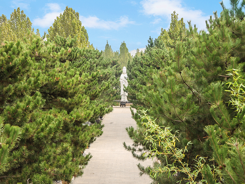 归山陵园在哪（怎么去归山陵园）