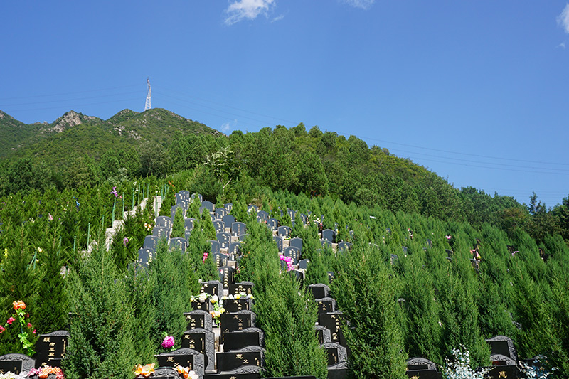 花坛葬的优势有哪些（花坛葬价格多少）